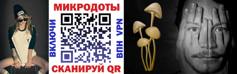 Псилоцибиновые грибы GOLDEN TEACHER  ссылка на мегу как войти  Сергач 